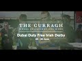 Watch The Curragh Irish Derby | Horse Racing | June28 - 30 | on SportsMax, SportsMax Racing and App!