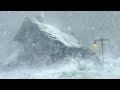 Blizzard, Winter Storm & Wind Sounds for Reduce Stress | Snow Storm Ambience | Deep Sleep, Relax