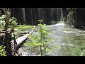 Lostine River at Shady Campground