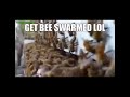 Get bee swarmed lol