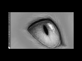 B/W Cat Eye Speed Painting by Katherine Rose Barber