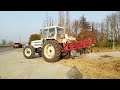 Lavorazione terreno #66 - LAMBORGHINI 1256 DT + Vibrocoltivatore BIANCHI - Tractor Plowing - जुताई