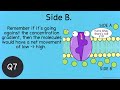 Cell Membranes and Transport: Before the Bell Biology