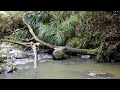 Relaxing Music with Nature Sounds - Waterfall HD video