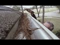 Gutter cleaning