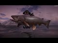 Legendary Alejandro Magno 29/8/24 - Call Of The Wild The Angler