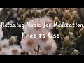 Relaxing Music For Meditation Free to Use
