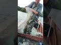 Best Tools Fish Trap  Of Catching Lot Of Fish🐟🎣#shorts #viral #fishing
