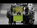 Attelage Horse Weekend 2024 Beamish Museum (Part 3) #beamish #horse #horsemanship #horseshow