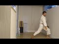 Itosu no Passai Kata Karatê Shorin-Ryu