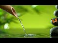 Relaxing Spa Music - Beautiful Peaceful, Calm Music, Meditation, Nature Sounds, Bamboo Water Sounds