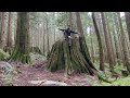 Solo hike in the rainforest / old growth stumps / Lynn Headwaters