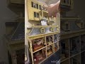 Miniature museum and doll houses