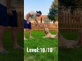 10 levels of poodle dog tricks