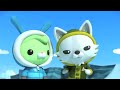 Octonauts - The Emperor Penguins | Cartoons for Kids | Underwater Sea Education