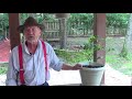 How to Grow Blueberries in a Pot or Container with Tim Berry