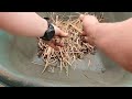 HOW to Install MULCH (For BEGINNERS)