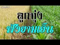 ลูกทุ่งฟังยามเย็น | เอกราช สุวรรณภูมิ ชุดที่ 2