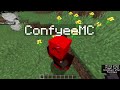 I Banned The Owner Of This SMP