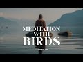 🧘‍♀️ Meditation with Birds and Guitar | 🐦🎸 Peaceful Birdsong for Relaxation and Focus