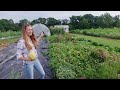 July Garden Tour! Growing a Years Supply of Food on a 1/4 acre