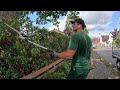 ÜBERWUCHERTE Hecke wird wieder in FORM gebracht. Die Stadt MECKERT schon! Satisfying Hedgecutting