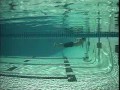Swimming: breast stroke and frog kick