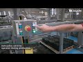 Robotic Flexible In-line Push-in Capper for distilled spirits at 6,000 bph