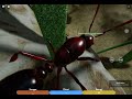 (Ant life) playing ant life but I’m mobile queen. (Went a bit wrong)