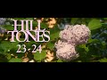 Hilltones Vid (camera audio)
