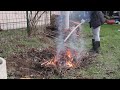 February cleaning of the garden and yard, pruning of grapes and raspberries, preparations for spring