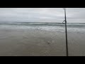 INSANE Striped Bass Bite In The Surf…Blitzing on Bunker pods!!!!
