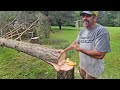 Cutting a tree next to houses