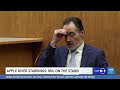 Apple River stabbing trial: Nicolae Miu on the stand (Afternoon testimony Pt. 1)