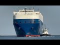 4K SHIPSPOTTING LOS ANGELES PORT MAY 2024 WITH MANY CONTAINER SHIPS