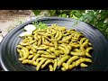 Salty Edamame Beans | Cafe Style | Edamame Recipe #food #cooking #foodie