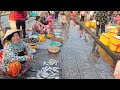 Hàng ngàn du khách đến chợ hải sản giá rẻ Hà Tiên Kiên Giang
