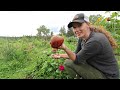 Giant Garden Harvest | Old Root Cellar Storing