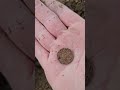 Three Steel Wheaties + Coin Spill