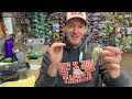 Do you understand the differences in Spinnerbait blades?