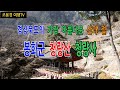 경상북도에서 가장 아름다운 산과 절, 봉화군 청량산 청량사