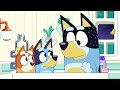 Bluey Episodes That Are Intended For Adults And Not Children!