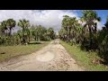 Overlanding Florida: Big Cypress Bear Island Off Road Vehicle Area Driving