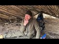 Building a Reed Shelter Waterproof | Bushcraft in the Secret Place | Start to Finish Construction