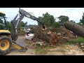 Staten Construction tree destruction (removal) - part 1