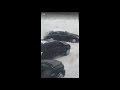 3 guys 5 eybrows stuck in snow caught on Tape