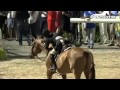 Brunello and Liza Towell Boyd - A Tribute to their 2015 USHJA Int'l Derby Win