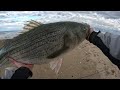 NEVER Fish the Surf Without This Lure (Slaying BIG Fish on Metal Lip Swimmers)
