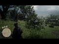 Two players, one bullet - Red Dead Online