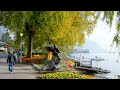 Switzerland 🍂🍁 Montreux, scenic walk in the Promenade